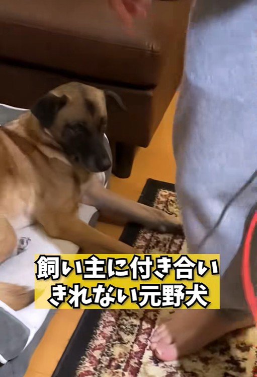 パパが熱唱している時のアキちゃん2