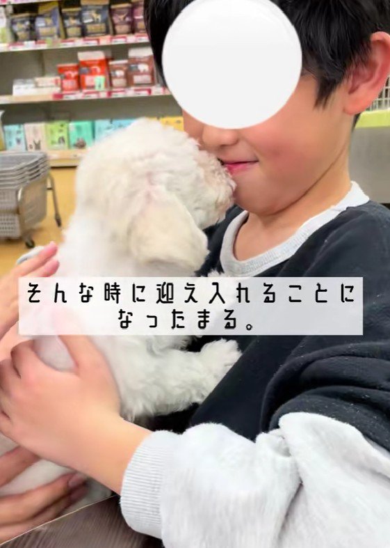 まるちゃんと出会ってから…