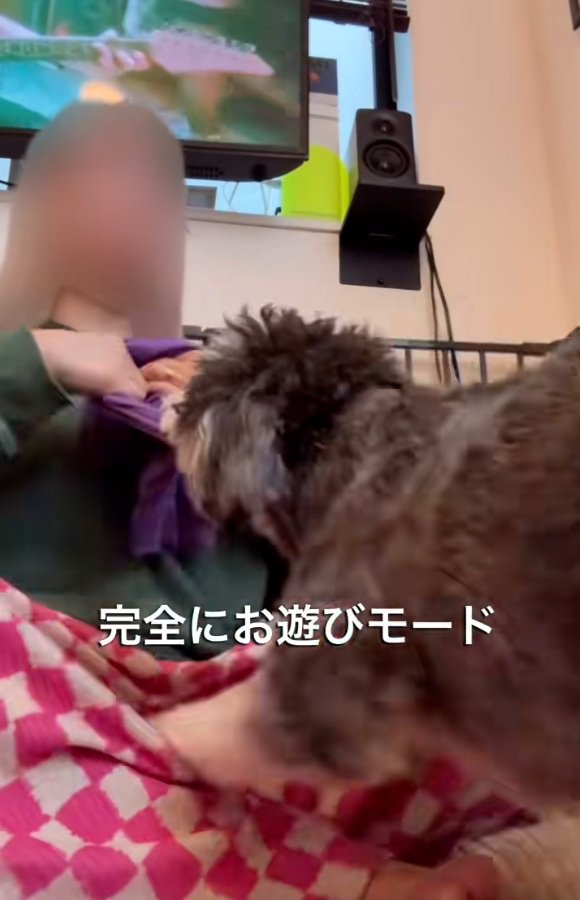 お遊びモードのジジくん