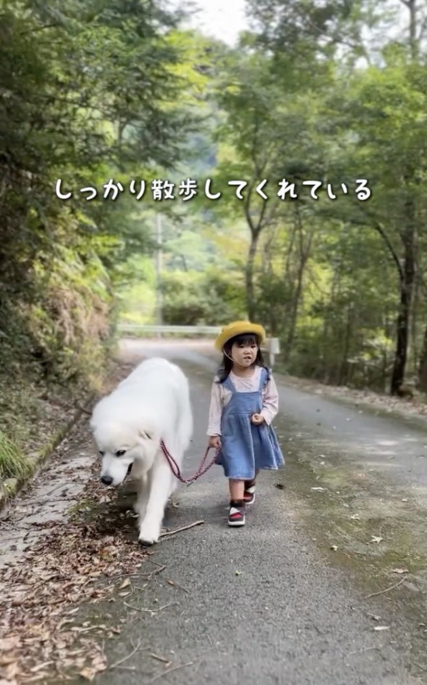 ゆっくりと散歩を楽しみます