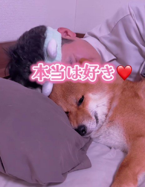やっぱり大好き♡