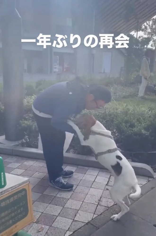 男性の匂いを嗅ぐ犬