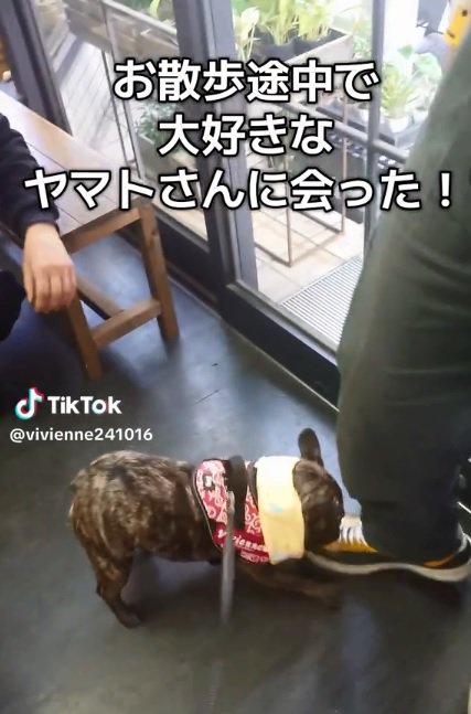 ヤマトさんに再会したヴィヴィちゃん