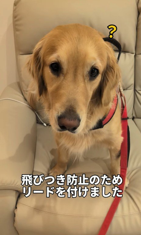 まるちゃんとママさんの再会3