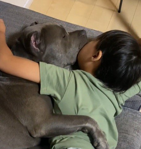 男の子と抱きしめあって眠る犬