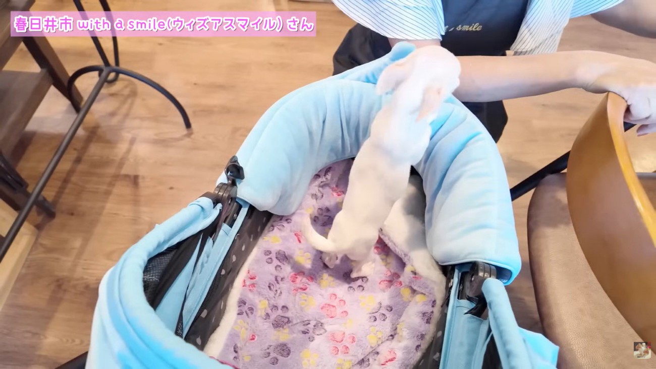 「もっと構って～」