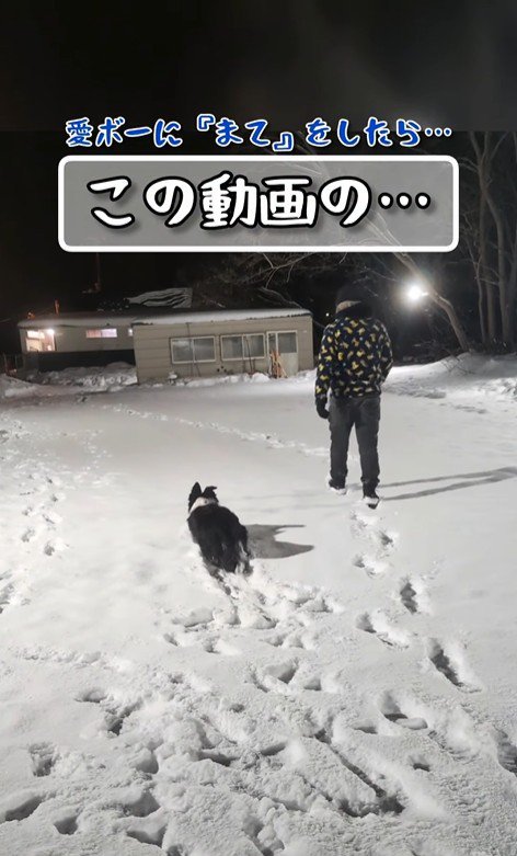 こっそりほふく前進！