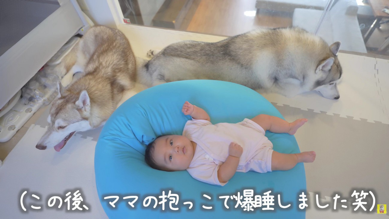 結局ママの抱っこでお昼寝♡