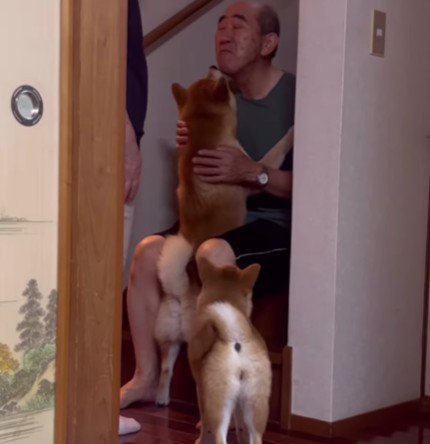 「僕だけのおじいちゃん！」