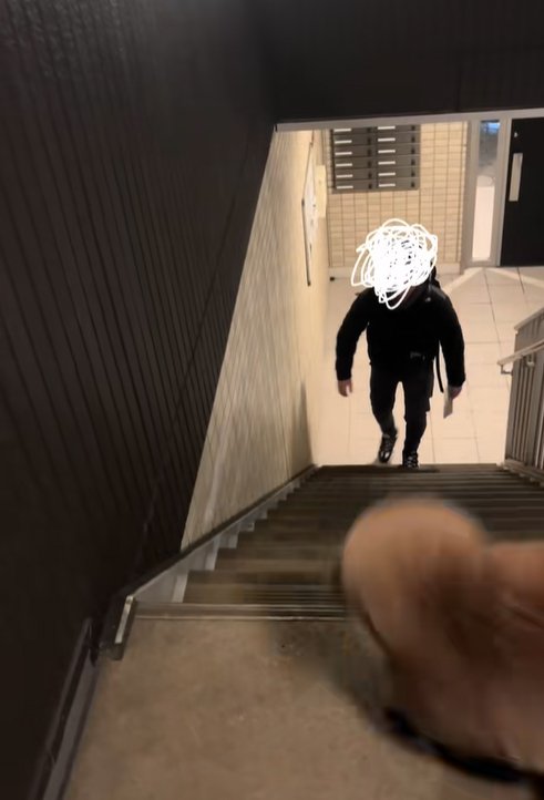 飼い主を待つ小型犬