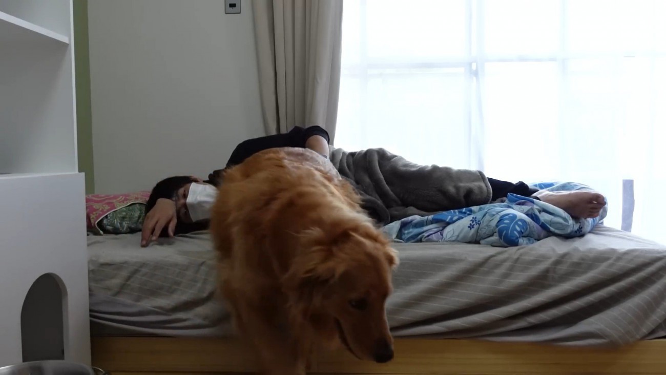 体調不良時のよもぎちゃん＆だいず君の対応9