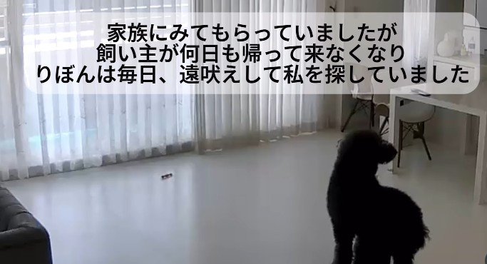 見守りカメラを見てみたら…