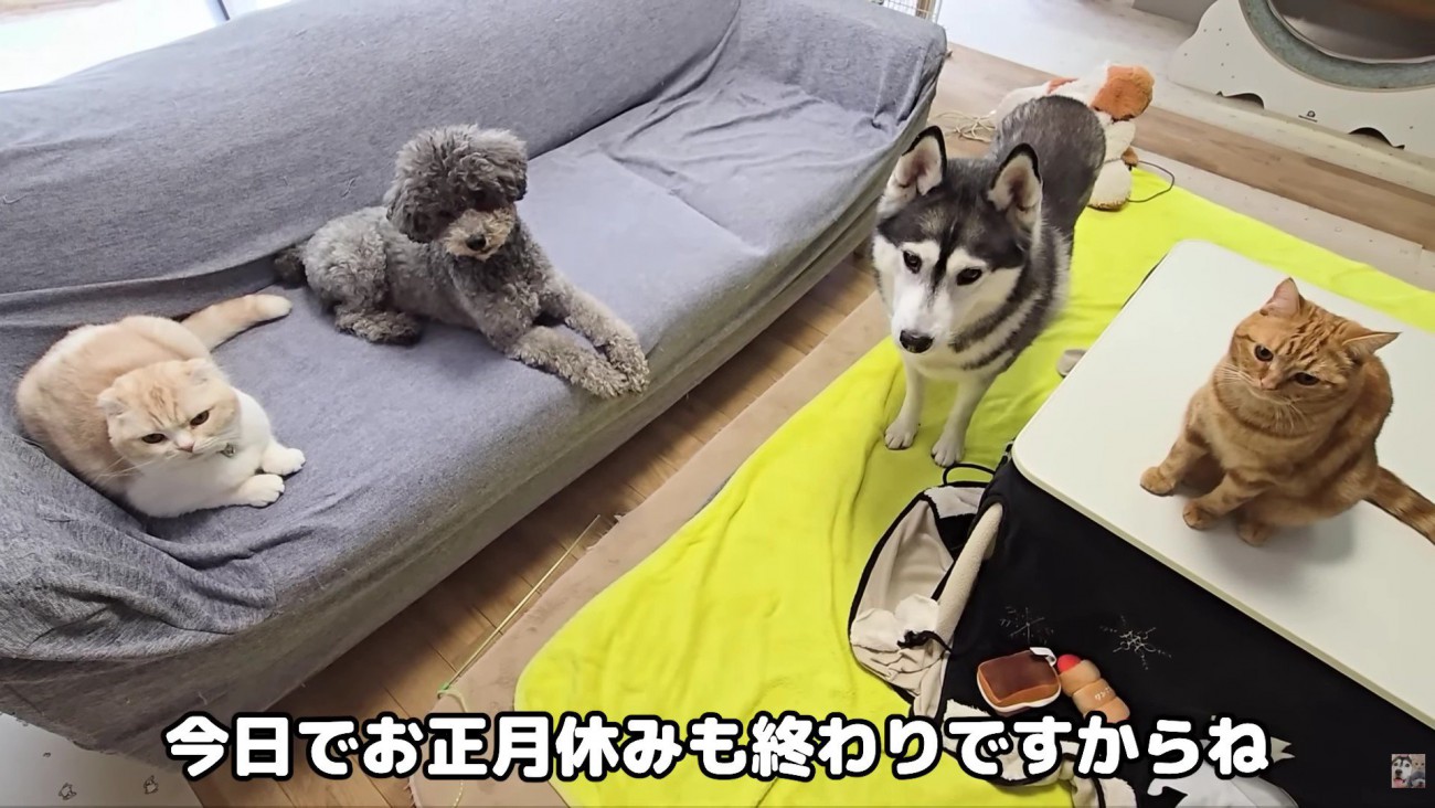 仲良しな4兄妹♡