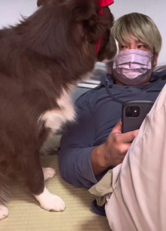 これは許しちゃう♪