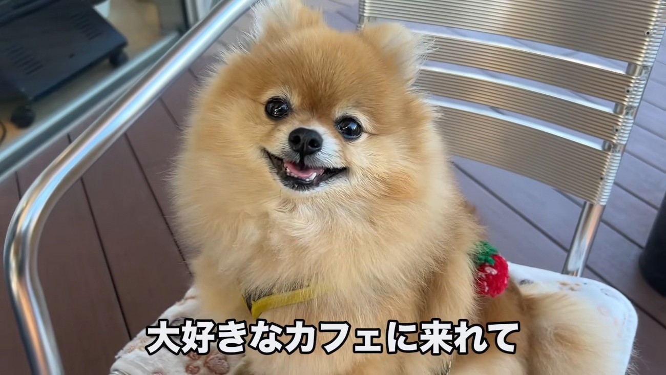 楽しくてニッコリ♪