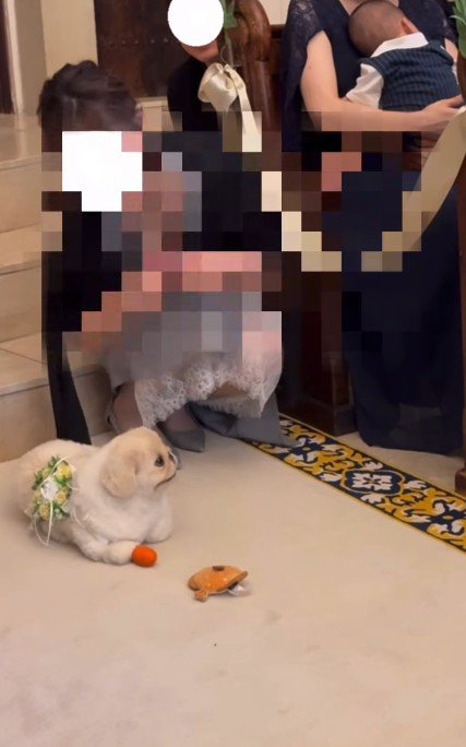 「今はなんか気が向かないかも」