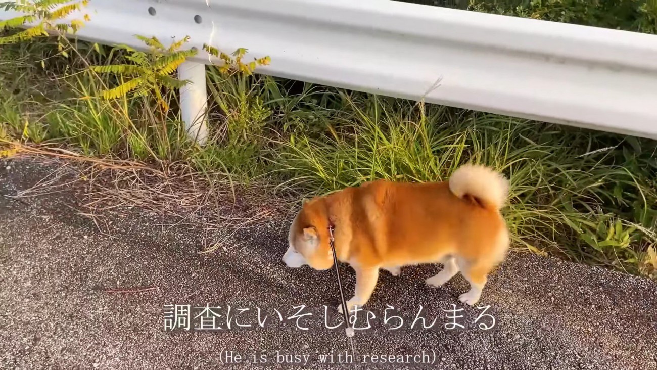 山に辿り着いた