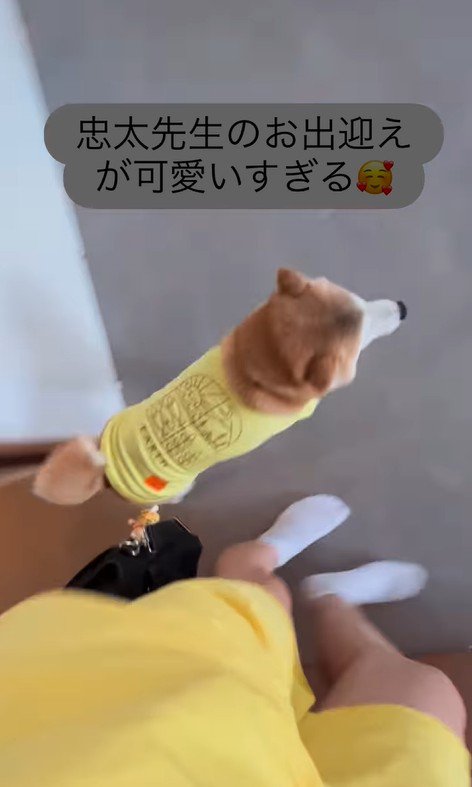 忠太くんの熱烈歓迎⑩