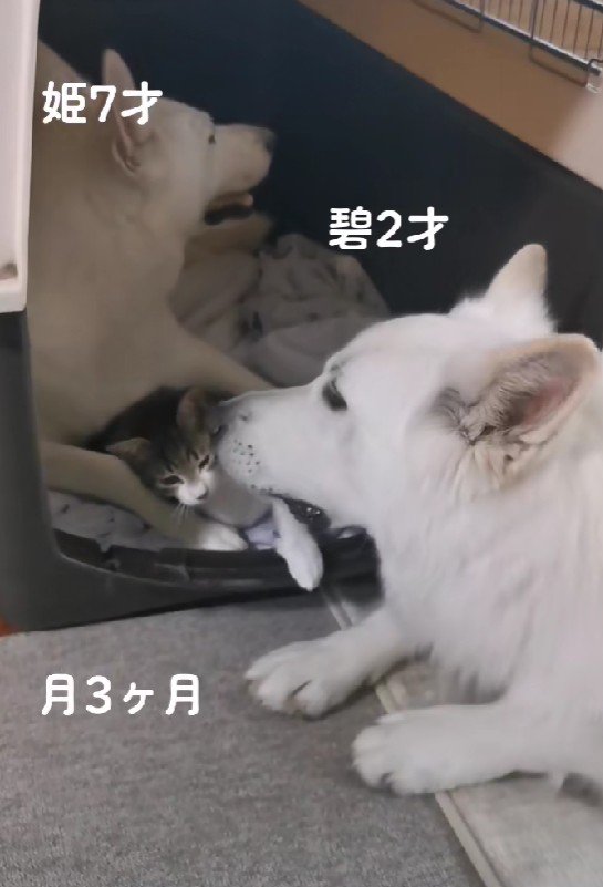 本当の親子のよう！？