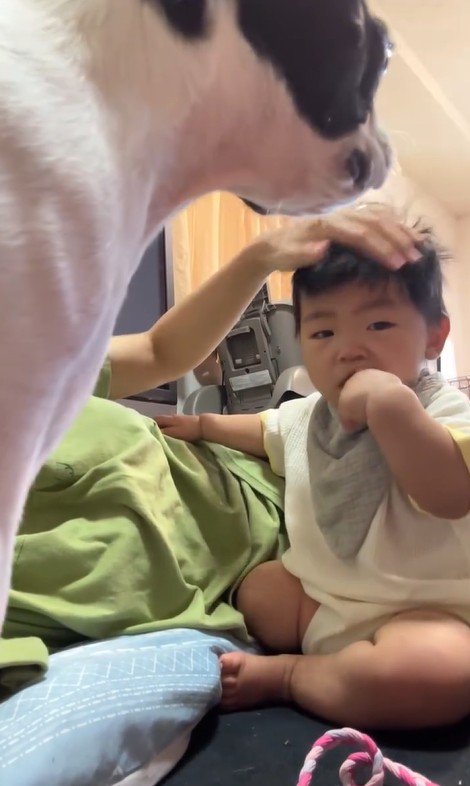 赤ちゃんが泣いた時のごろちゃん7