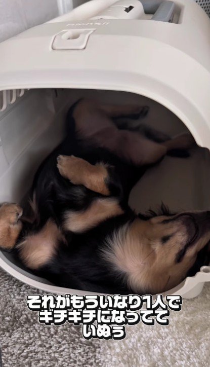 今ではギチギチに！！