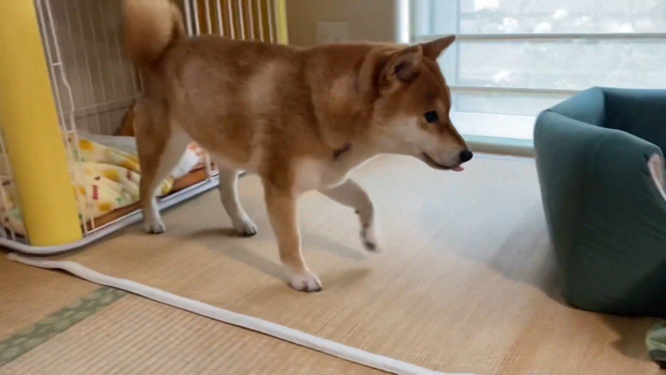 ウキウキで食卓へ♪