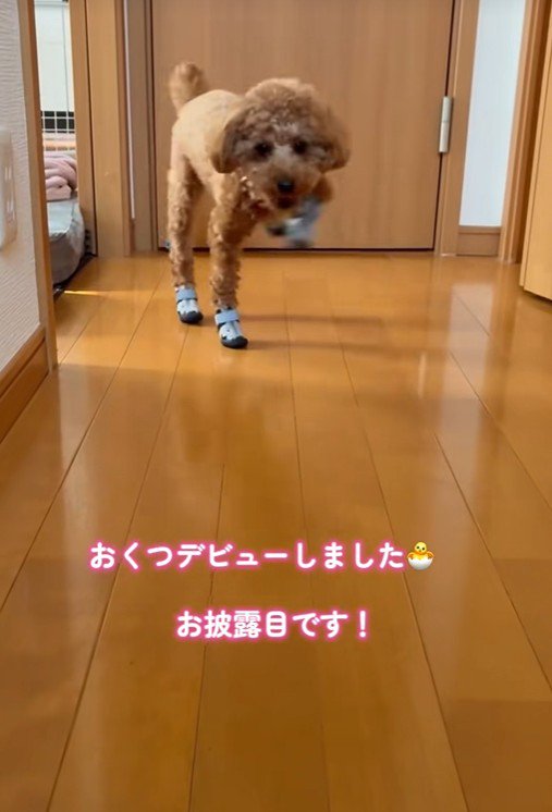 足が高く上がりすぎ！