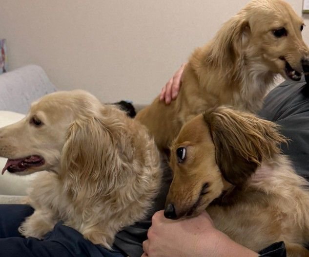 嫉妬心むき出し！