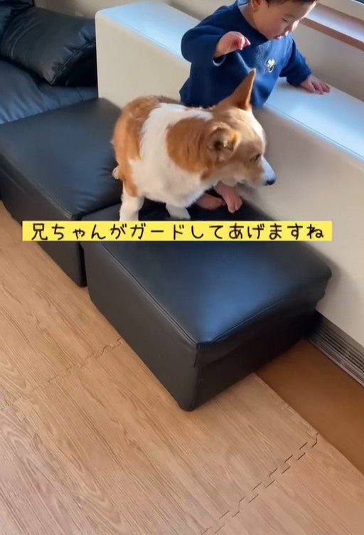 男の子が段差を降りる時のサクくん6