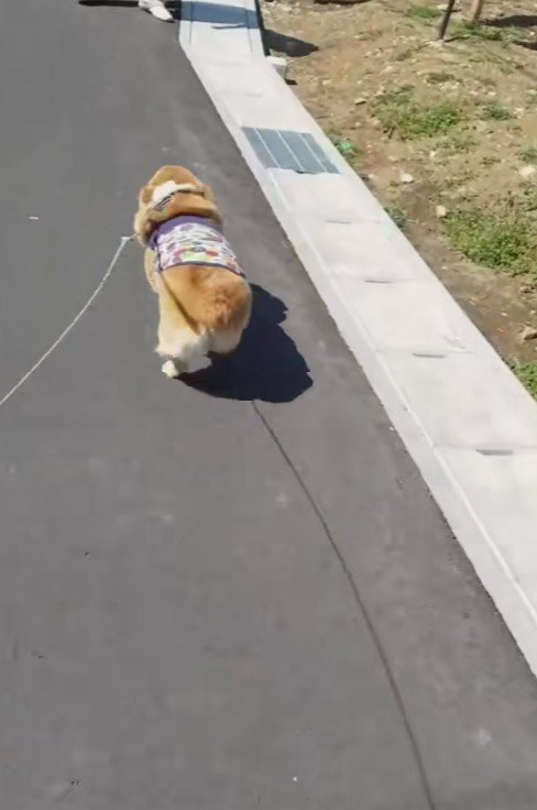 駆け寄った先にいたのは…