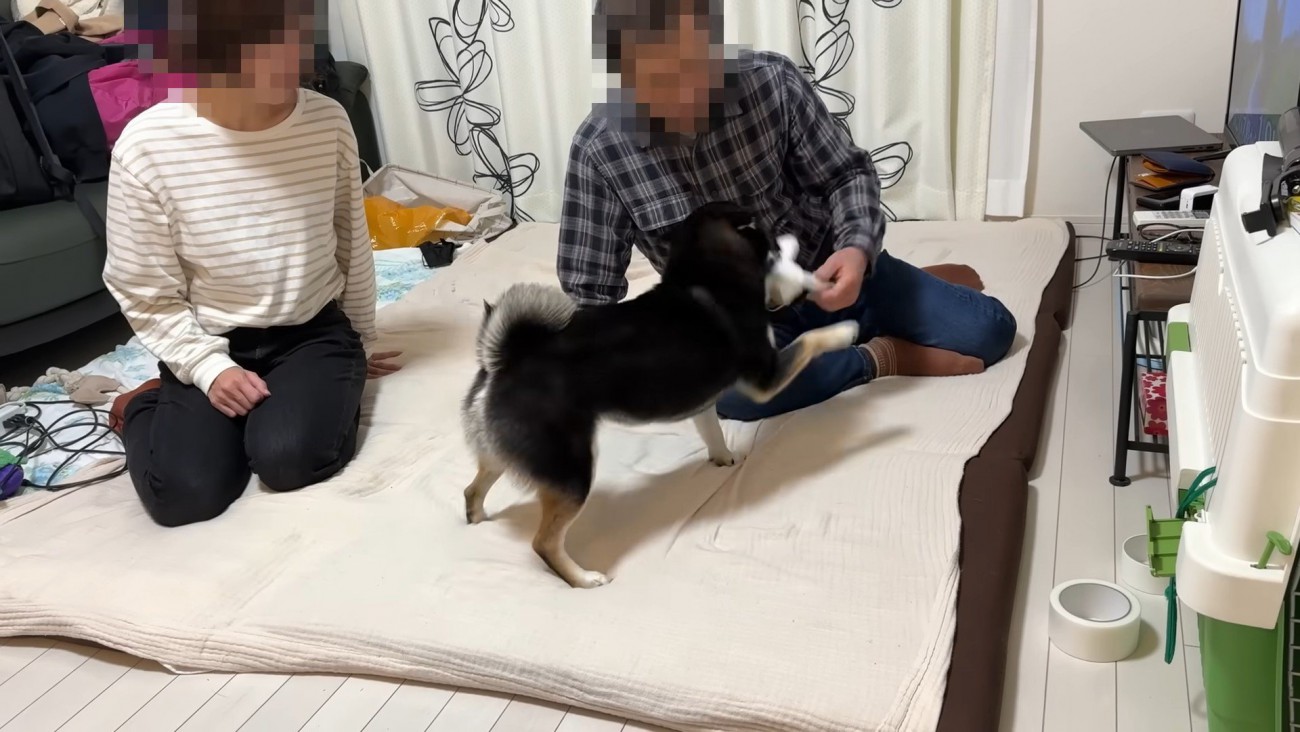 でも一緒に遊びたいようです♪