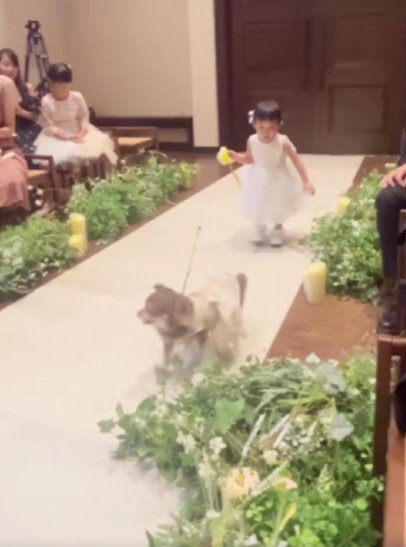 今度はわんこがダッシュ！