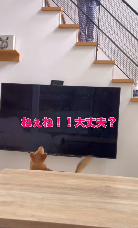 らむねちゃんとお姉ちゃんの再会5