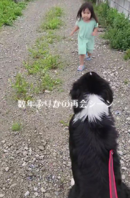 レオンちゃんのお散歩中