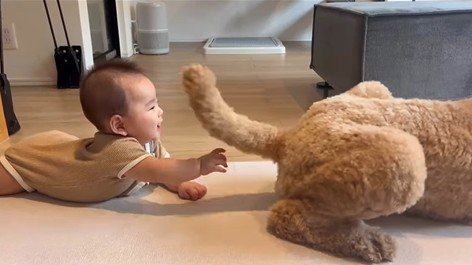 わたげちゃんと赤ちゃんのふれあい