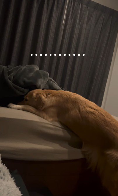 なかなか起きてくれない…