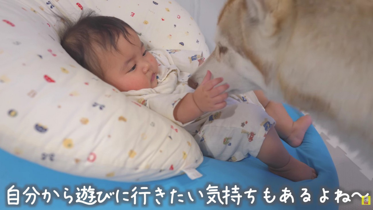 もっと遊びたい！！