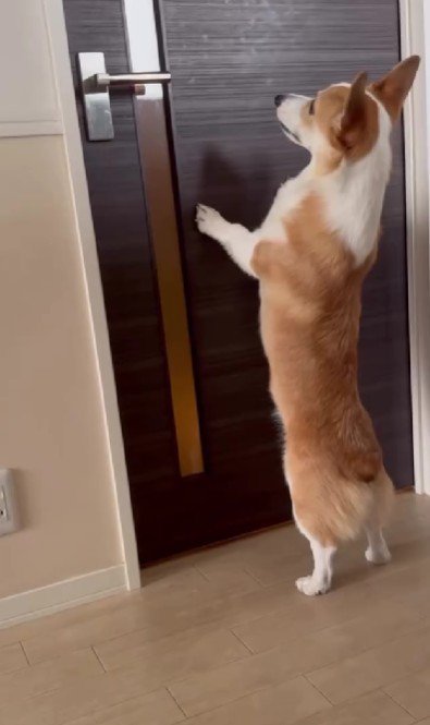 「まだかな？まだかな？」