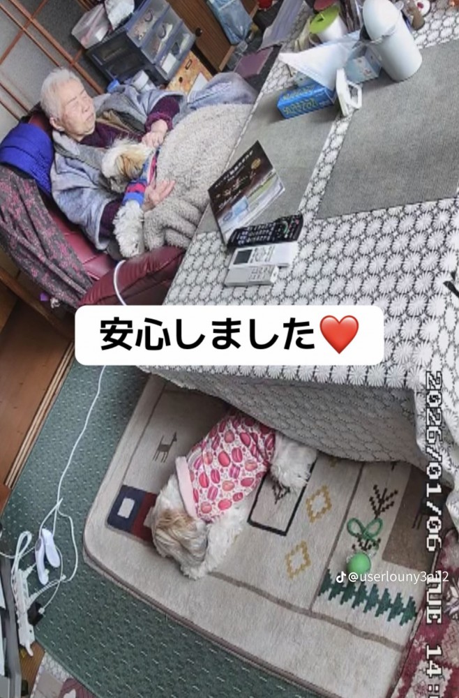 おばあちゃんと2匹の犬2