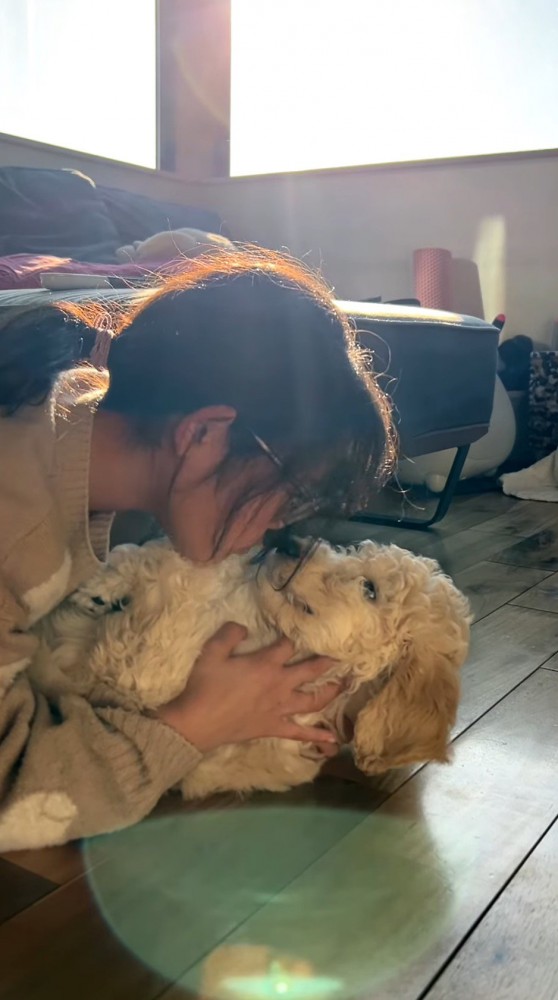 犬と見つめ合う女の子