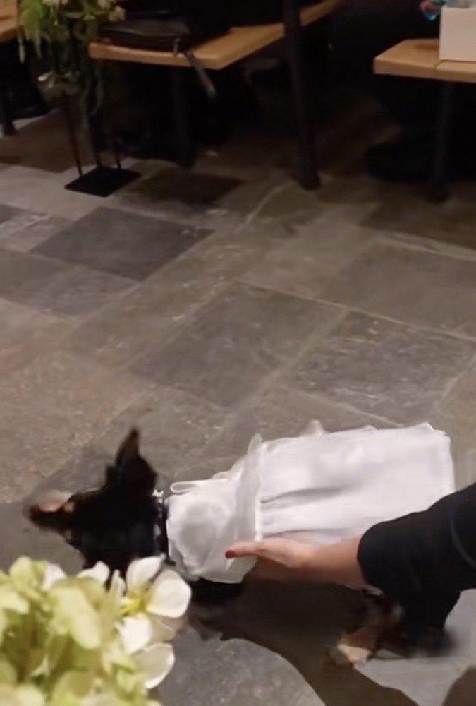 2度目のチャレンジ