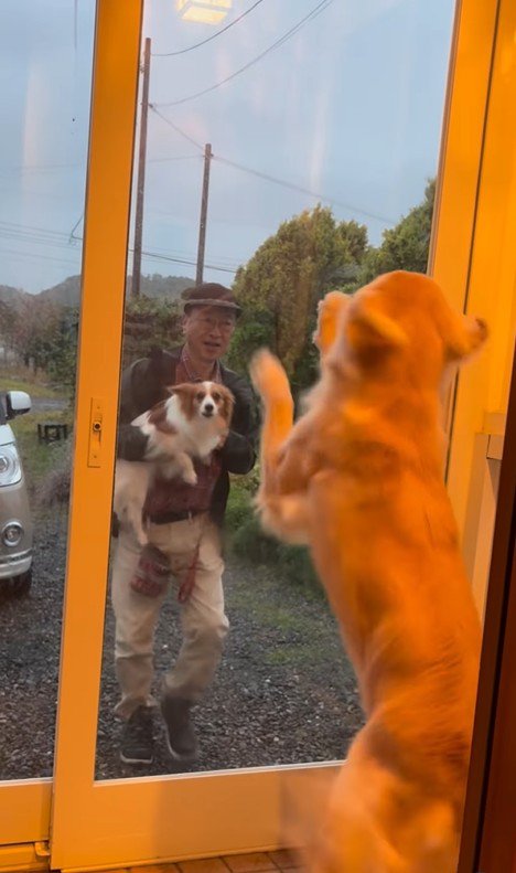 ざらめちゃんとパパの再会3