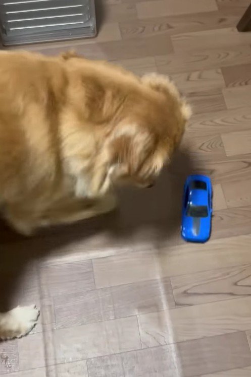 車のおもちゃで遊ぶことも