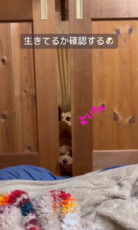 パパさんを心配するポポくん3