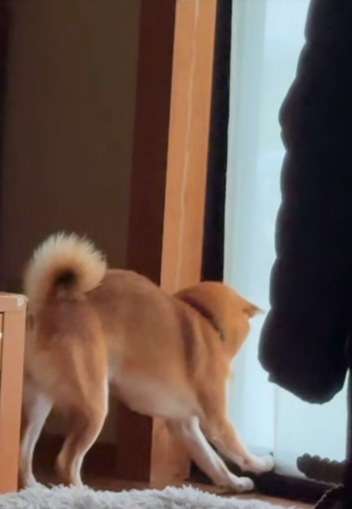 リクくんにハプニング発生6