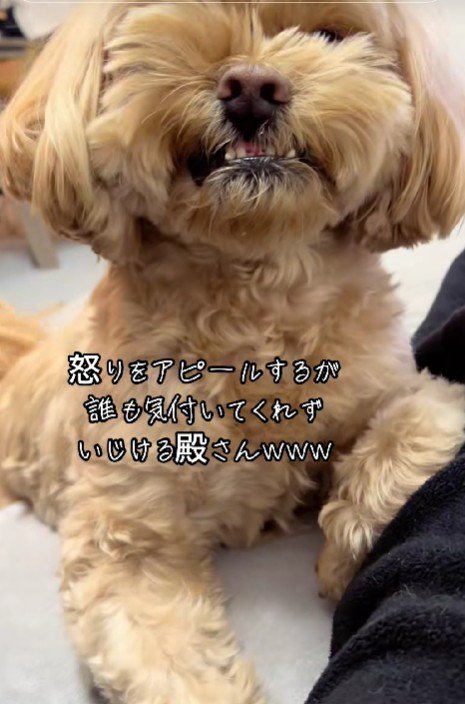 「怒ってるんだから…！」