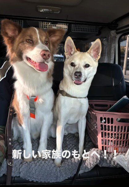 運命の家族と出会って…