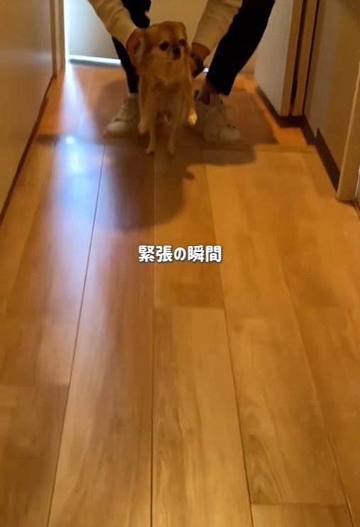 シアルちゃんを迎えた日3