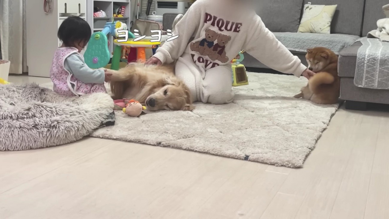 ほのちゃんもナデナデ♡