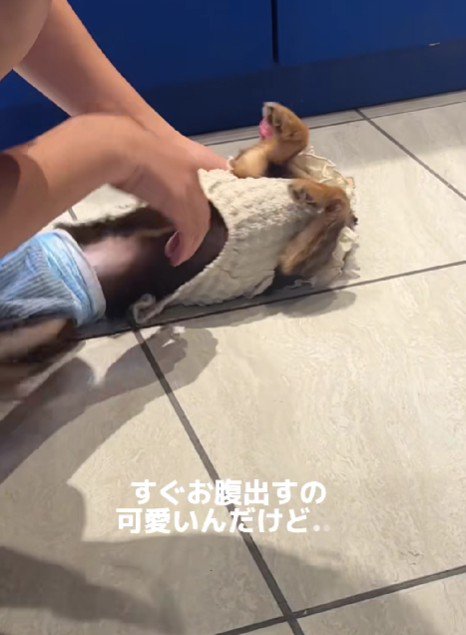 ゴロゴロ転がるのは…